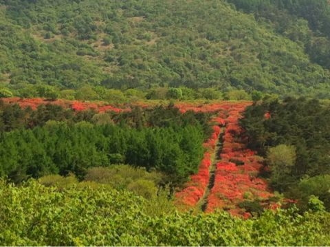 f:id:from2011ne:20120526183725j:image