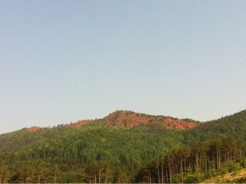 f:id:from2011ne:20120602141012j:image