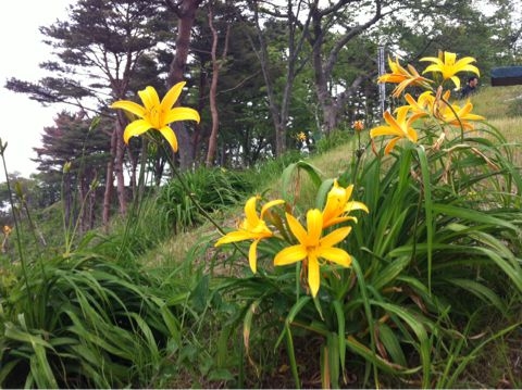 f:id:from2011ne:20120609072825j:image