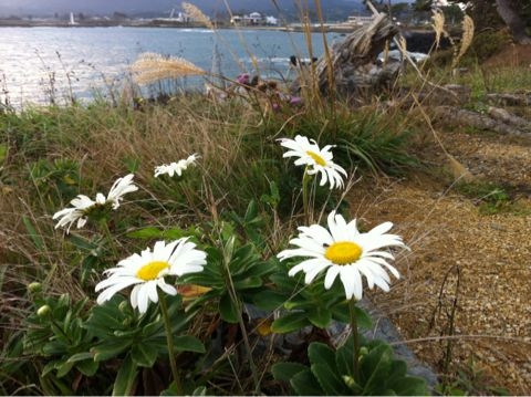 f:id:from2011ne:20121011081416j:image