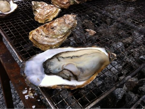f:id:from2011ne:20121201203011j:image