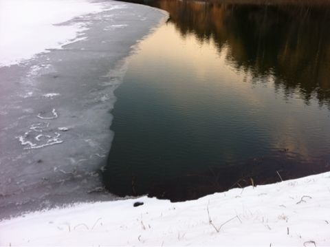 f:id:from2011ne:20130304211732j:image