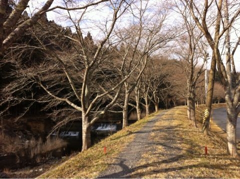 f:id:from2011ne:20130328232115j:image