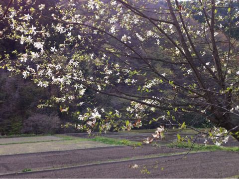 f:id:from2011ne:20130505181459j:image