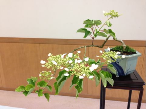 f:id:from2011ne:20130629155454j:image