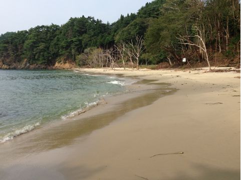 f:id:from2011ne:20131012115019j:image