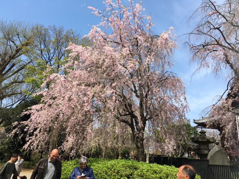 f:id:from55life:20180111140638j:plain f:id:from55life:20180111140638j:plain