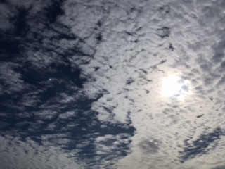 f:id:from55life:20180511063125j:plain f:id:from55life:20180511063125j:plain