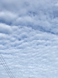 f:id:from55life:20180513085326j:plain f:id:from55life:20180513085326j:plain