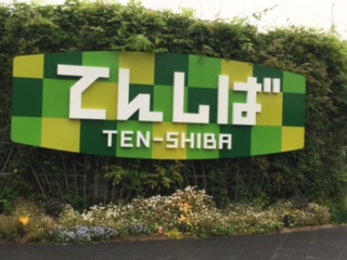 f:id:from55life:20180601061410j:plain f:id:from55life:20180601061410j:plain