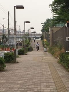 f:id:from55life:20180601062113j:plain f:id:from55life:20180601062113j:plain