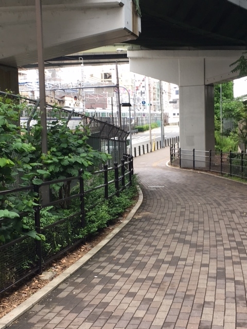 f:id:from55life:20180604060706j:plain
