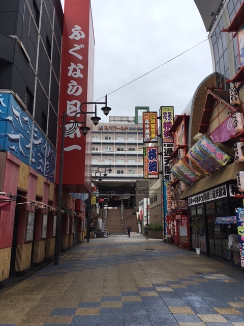 f:id:from55life:20180611224620j:plain