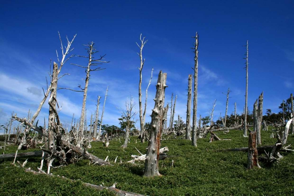 f:id:from55life:20180813145340j:plain