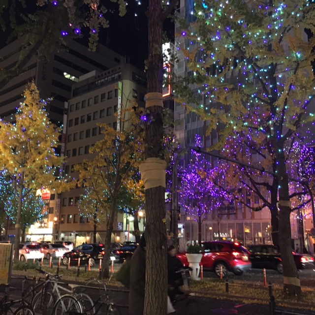 f:id:from55life:20181209203427j:plain