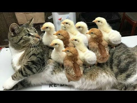 f:id:from55life:20190120085428j:plain