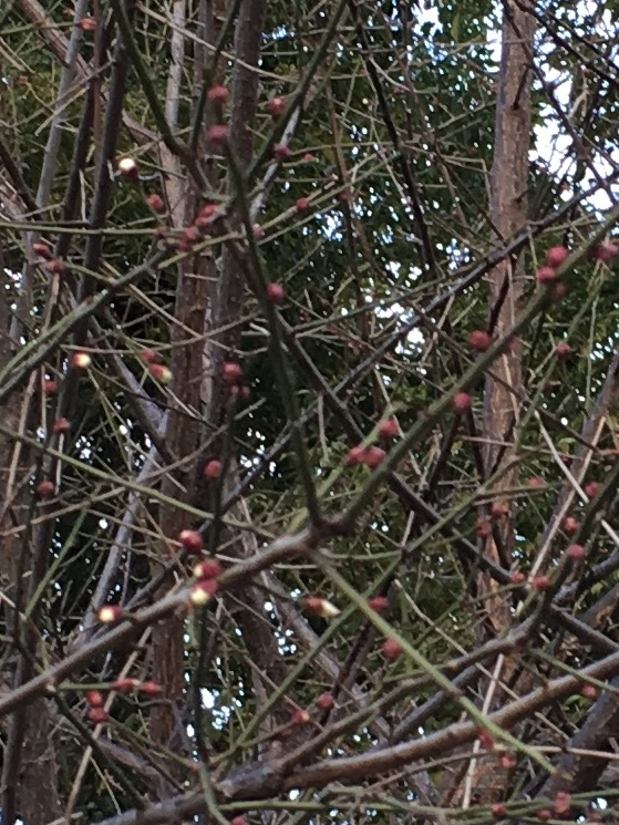 f:id:from55life:20190129221444j:plain f:id:from55life:20190129221444j:plain