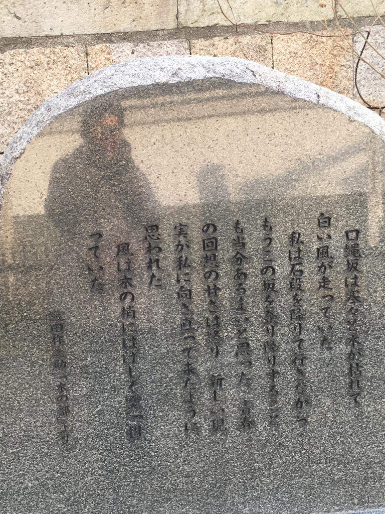 f:id:from55life:20190210214809j:plain