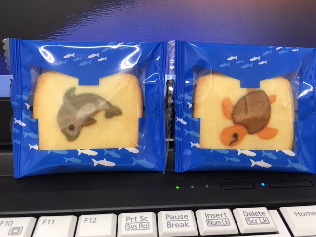 f:id:from55life:20190213233219j:plain f:id:from55life:20190213233219j:plain