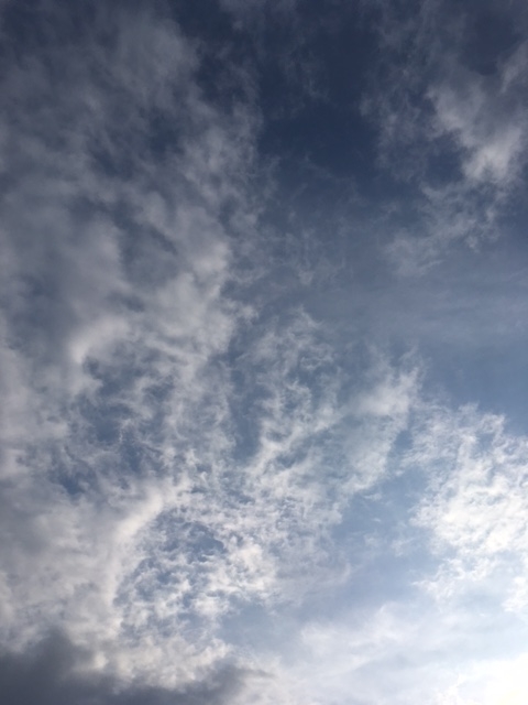 f:id:from55life:20190324084529j:plain f:id:from55life:20190324084529j:plain