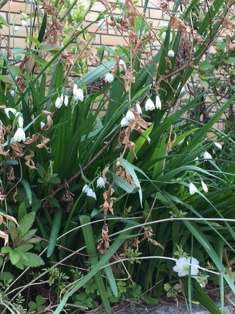 f:id:from55life:20190412011032j:plain