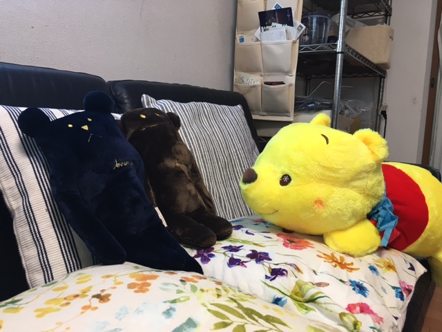 f:id:from55life:20190517062937j:plain