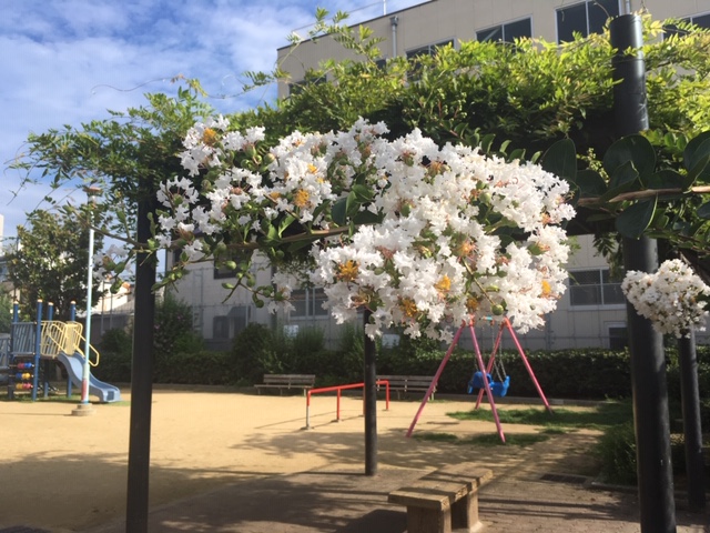 f:id:from55life:20190715202340j:plain f:id:from55life:20190715202340j:plain