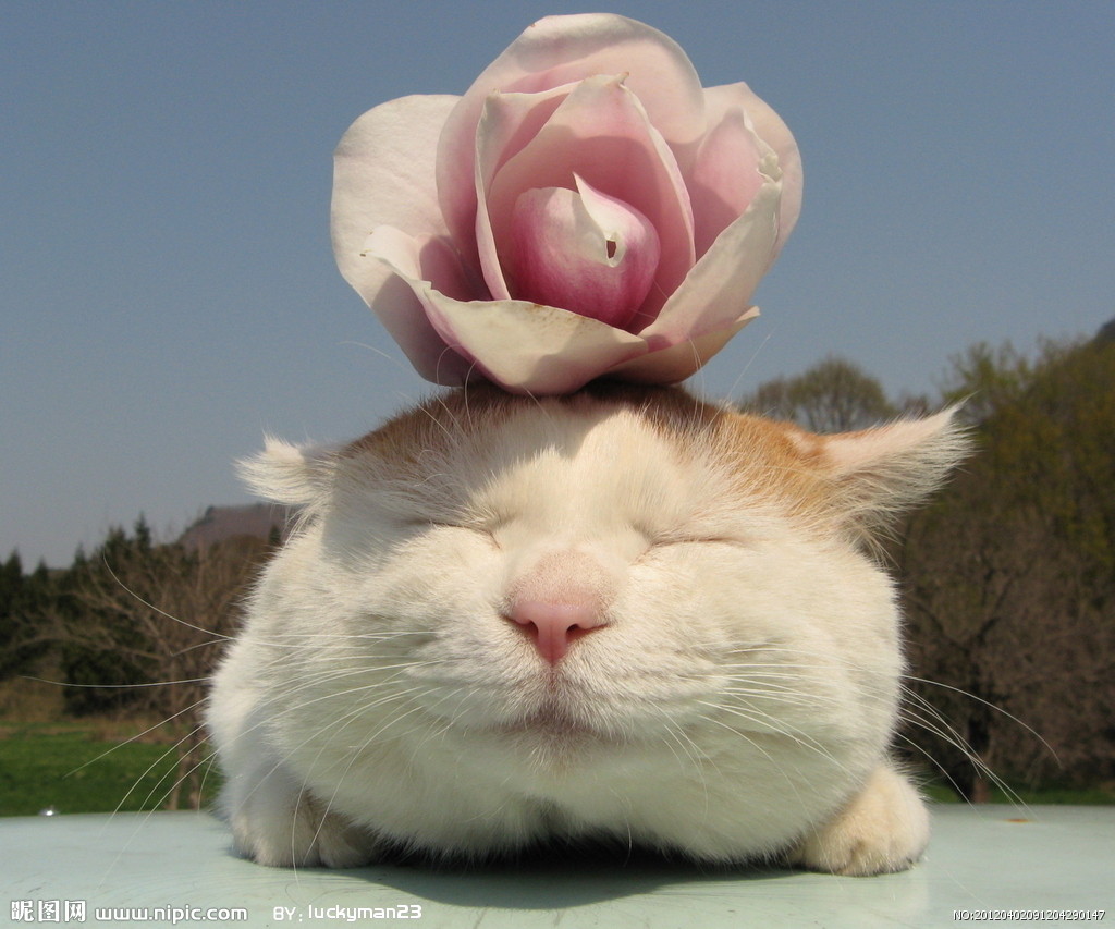 f:id:from55life:20190718015229j:plain f:id:from55life:20190718015229j:plain