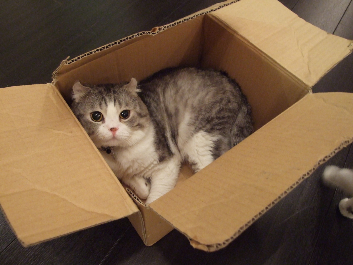 f:id:from55life:20191130202114j:plain f:id:from55life:20191130202114j:plain