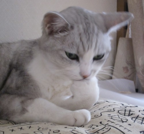 f:id:from55life:20191205064655j:plain
