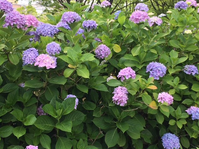 f:id:from55life:20191229082906j:plain f:id:from55life:20191229082906j:plain