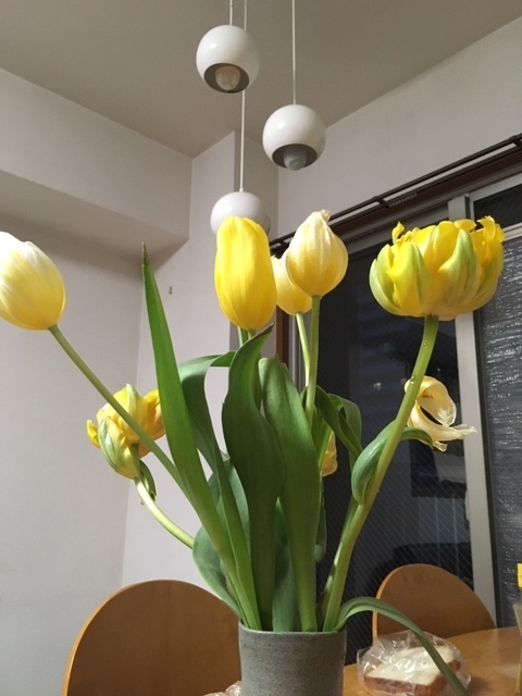 f:id:from55life:20200317054402j:plain