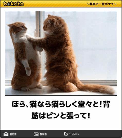 f:id:from55life:20200407063737j:plain