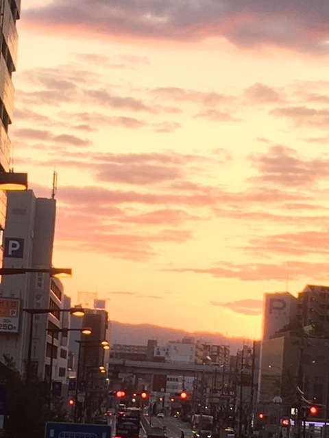 f:id:from55life:20201121231235j:plain