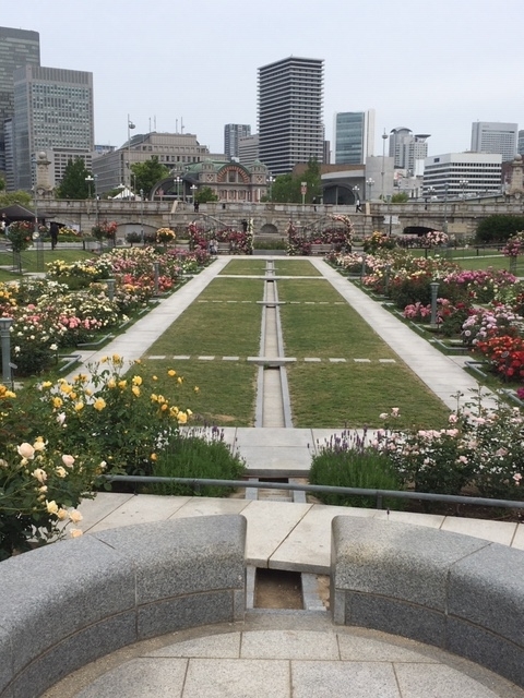 f:id:from55life:20210515143456j:plain