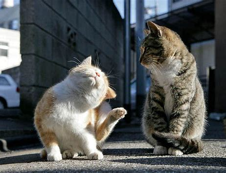 f:id:from55life:20210914215424p:plain