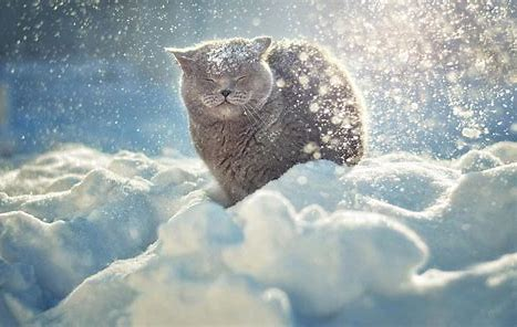 f:id:from55life:20210920171142p:plain