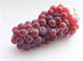 f:id:from55life:20211003195023p:plain