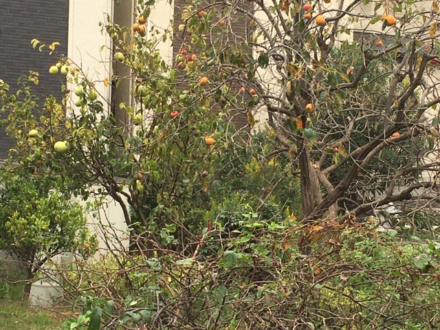 f:id:from55life:20211014095114j:plain