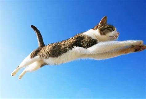 f:id:from55life:20211230202327p:plain