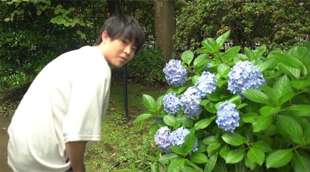 f:id:from_nipopo:20200202021205j:image
