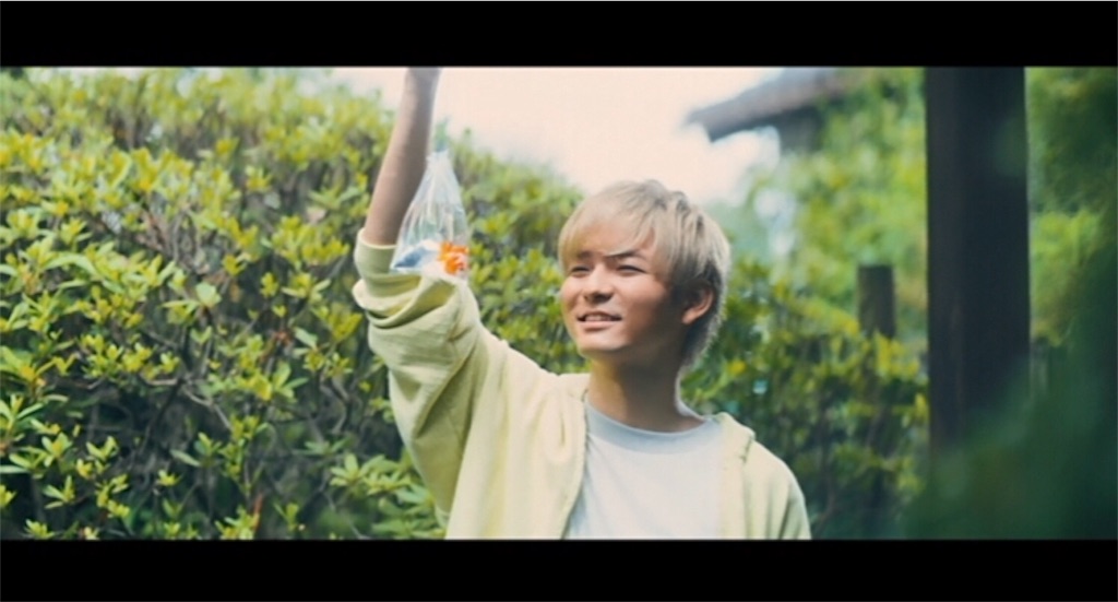 f:id:from_nipopo:20200202025310j:image