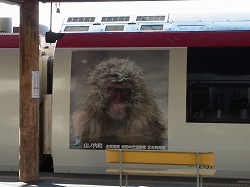 イメージ 19