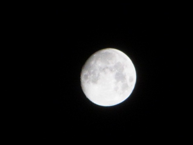 イメージ 15