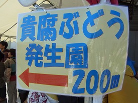 イメージ 11