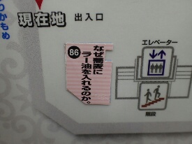 イメージ 8