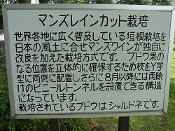 イメージ 12