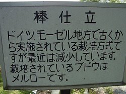 イメージ 14