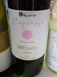 イメージ 43