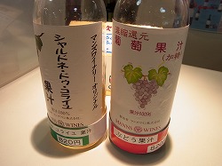 イメージ 6